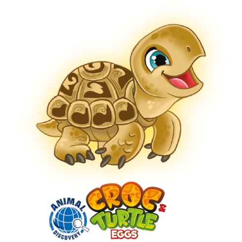 Croc&Turtle: Tartaruga Hermanni