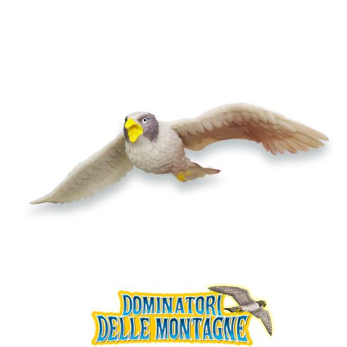 Dominatori delle Montagne: Falco Pellegrino