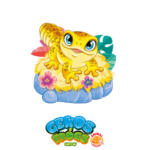 Gekos & Frogs: Geco Leopardo