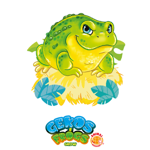 Gekos & Frogs: Rana Toro