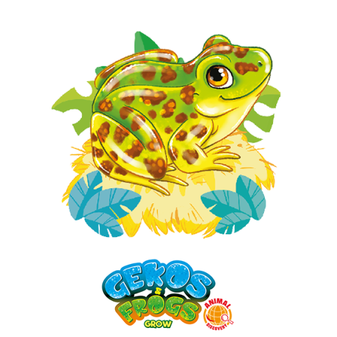 Gekos & Frogs: Rana Leopardo