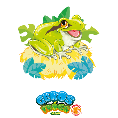 Gekos & Frogs: Raganella