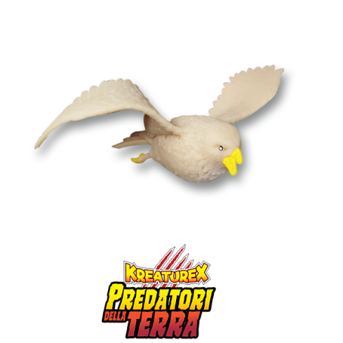 Predatori della Terra: Falco Pellegrino